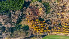 Fotograficzne podsumowanie jesieni 2023 cz. II - zdjęcie 46