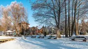 Mazurska biała jesień w porcie Ognisty Ptak, listopad 2023 r. - zdjęcie 17