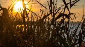 Zachód nad jeziorem Niegocin, listopad 2023 r. - zdjęcie 18