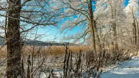 Zima w porcie Łabędzi Ostrów w Pięknej Górze, listopada 2023 r. - zdjęcie 13