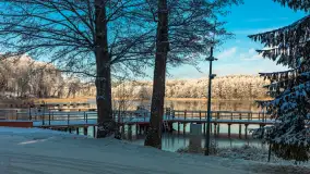Zima w porcie Łabędzi Ostrów w Pięknej Górze, listopada 2023 r. - zdjęcie 15