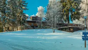 Zima w porcie Łabędzi Ostrów w Pięknej Górze, listopada 2023 r. - zdjęcie 25