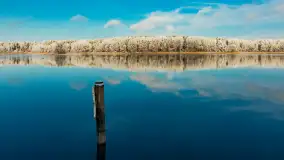 Zima w porcie Łabędzi Ostrów w Pięknej Górze, listopada 2023 r. - zdjęcie 43