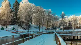 Zima w porcie Łabędzi Ostrów w Pięknej Górze, listopada 2023 r. - zdjęcie 17