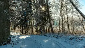 Zima w porcie Łabędzi Ostrów w Pięknej Górze, listopada 2023 r. - zdjęcie 5