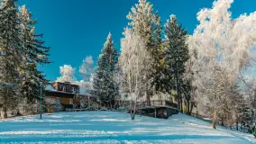 Zima w porcie Łabędzi Ostrów w Pięknej Górze, listopada 2023 r. - zdjęcie 7