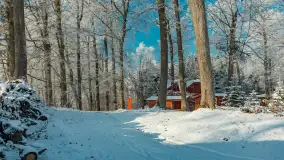 Zima w porcie Łabędzi Ostrów w Pięknej Górze, listopada 2023 r. - zdjęcie 44