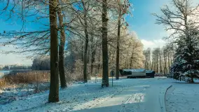 Zima w porcie Łabędzi Ostrów w Pięknej Górze, listopada 2023 r. - zdjęcie 38