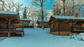 Zima w porcie Łabędzi Ostrów w Pięknej Górze, listopada 2023 r. - zdjęcie 36