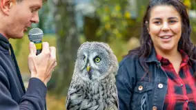 Fotorelacja ze Święta Ziemniaka w Mazurskim raju, październik 2023 r. - zdjęcie 11