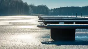 Port w Sztynorcie w zimowej odsłonie pod koniec listopada 2023 r. - zdjęcie 30