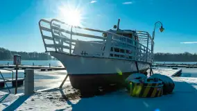 Port w Sztynorcie w zimowej odsłonie pod koniec listopada 2023 r. - zdjęcie 16