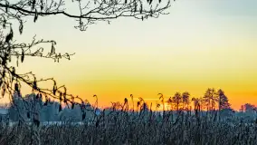 Zimowy zachód słońca nad jeziorem Mój, listopad 2023 r. - zdjęcie 30