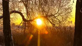 Zimowy zachód słońca nad jeziorem Mój, listopad 2023 r. - zdjęcie 5