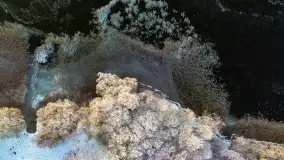 Zimowy zachód słońca nad jeziorem Mój, listopad 2023 r. - zdjęcie 12