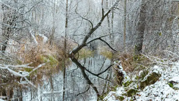 Zwalony most w Kruklankach w zimowej scenerii... bez słońca, listopad 2023 r. - zdjęcie 6