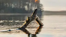 Jesienny biwak ekipy Mazury24 nad Darginem, listopad 2023 r. - zdjęcie 27