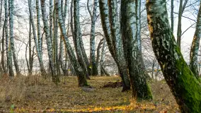 Jesienny biwak ekipy Mazury24 nad Darginem, listopad 2023 r. - zdjęcie 22