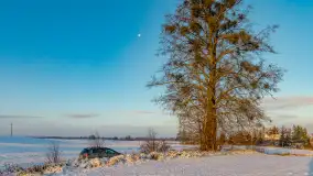 Wschód słońca w okolicach wsi Podlasie, grudzień 2023 r. - zdjęcie 8