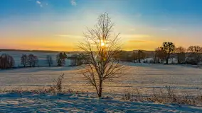 Wschód słońca w okolicach wsi Podlasie, grudzień 2023 r. - zdjęcie 27