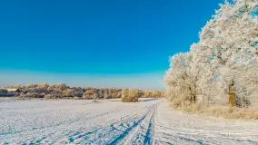 Zimowy poranek w okolicach Wopławek k/Kętrzyna - zdjęcie 20