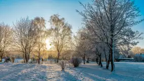 Zimowy poranek w okolicach Wopławek k/Kętrzyna - zdjęcie 28