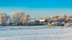 Zimowy poranek w okolicach Wopławek k/Kętrzyna - zdjęcie 34