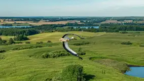 Zwierzęta i ptaki na zdjęciach z szuflady, 2023 rok - zdjęcie 36