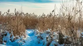 Zimowo i przed zachodem słońca na przystani Harsz Zdorkowo - zdjęcie 4