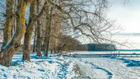 Uroki zimy nad jeziorem Dargin w porcie Dziki Harsz - zdjęcie 28