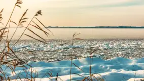 Uroki zimy nad jeziorem Dargin w porcie Dziki Harsz - zdjęcie 17