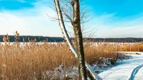 Stranda w mrozie i śniegu, styczeń 2024 r. - zdjęcie 25