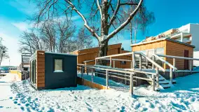 Stranda w mrozie i śniegu, styczeń 2024 r. - zdjęcie 28