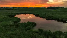 Zachód słońca na wschodnich obrzeżach Kętrzyna, sierpień 2023 r. - zdjęcie 23