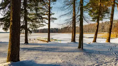 Zimowy spacer nad jeziorem Gołdopiwo niedaleko Żabinki, styczeń 2024 r.