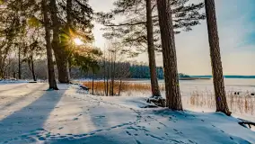 Zimowy spacer nad jeziorem Gołdopiwo niedaleko Żabinki, styczeń 2024 r. - zdjęcie 9