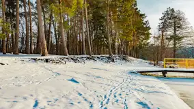 Zimowy spacer nad jeziorem Gołdopiwo niedaleko Żabinki, styczeń 2024 r. - zdjęcie 4