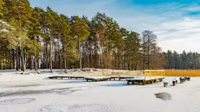 Zimowy spacer nad jeziorem Gołdopiwo niedaleko Żabinki, styczeń 2024 r. - zdjęcie 2