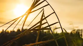 Zimowy spacer nad jeziorem Gołdopiwo niedaleko Żabinki, styczeń 2024 r. - zdjęcie 16