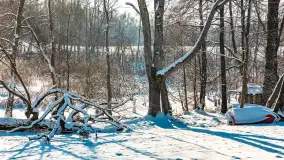 Zima nad jeziorem Dziewiszewskie w Dziewiszowie, styczeń 2024 r. - zdjęcie 4