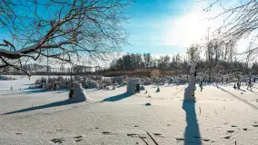 Zima nad jeziorem Dziewiszewskie w Dziewiszowie, styczeń 2024 r. - zdjęcie 17