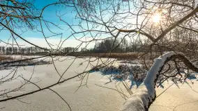 Zima nad jeziorem Dziewiszewskie w Dziewiszowie, styczeń 2024 r. - zdjęcie 34