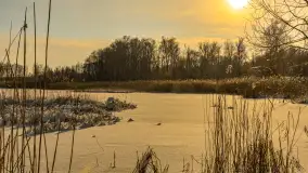 Zima nad jeziorem Dziewiszewskie w Dziewiszowie, styczeń 2024 r. - zdjęcie 22