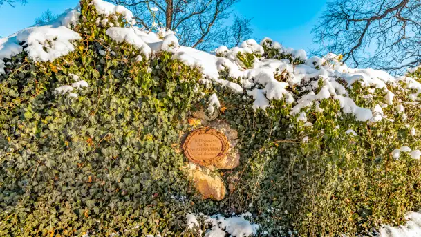 Zamek Krzyżacki, a teraz kościół w Bezławkach w zimowej scenerii, styczeń 2024 r. - zdjęcie 11