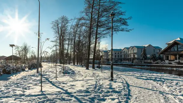 Pisz w zimowej scenerii, styczeń 2024 r. - zdjęcie 3