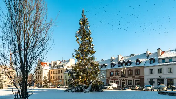 Pisz w zimowej scenerii, styczeń 2024 r. - zdjęcie 6