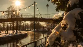 Pisz w zimowej scenerii, styczeń 2024 r. - zdjęcie 19