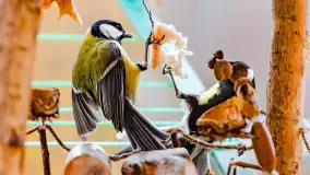 Redakcyjny karmnik sprawdził się zimą, styczeń 2024 r. - zdjęcie 10