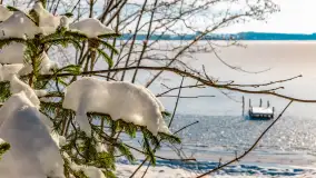 Zimowe jezioro Gołdopiwo w okolicach Przerwanek, styczeń 2024 r. - zdjęcie 40