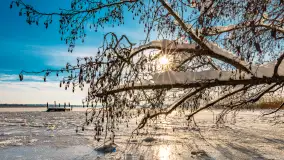 Zimowe jezioro Gołdopiwo w okolicach Przerwanek, styczeń 2024 r. - zdjęcie 1